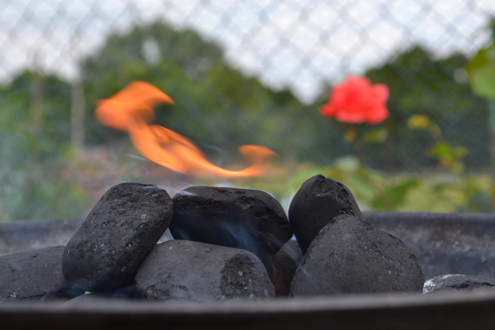 5 Creative Recipes to Try with Coconut Charcoal Briquettes: Elevate Your Grilling Game