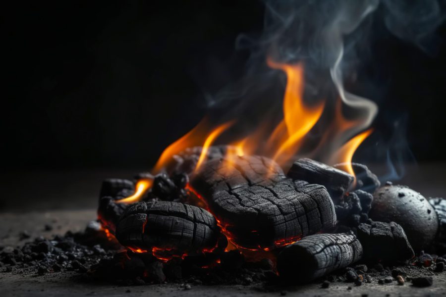 Comparing Coconut Charcoal Briquettes vs. Traditional Charcoal: Which is Better for Your Grilling Needs?