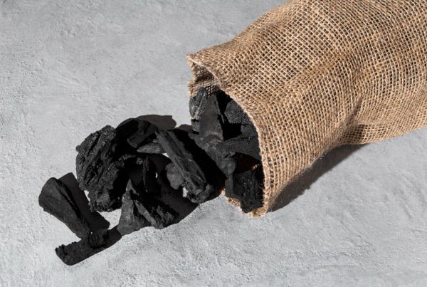The Environmental Benefits of Coconut Charcoal Briquettes: A Sustainable Alternative to Traditional Charcoal