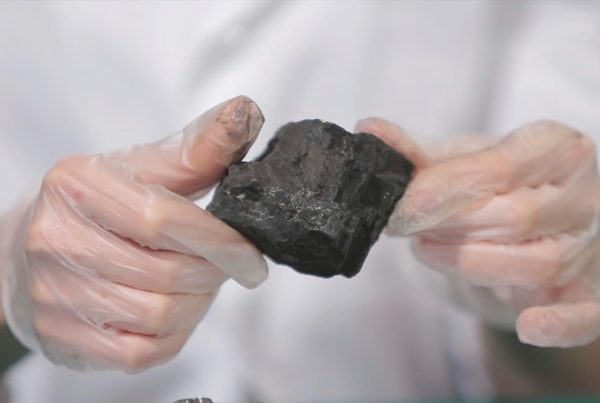 The Science Behind Coconut Charcoal Briquettes: Understanding Their Composition and Burning Properties